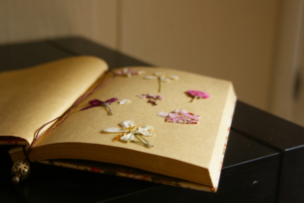 ColleenDeputy-driedflowersinbook